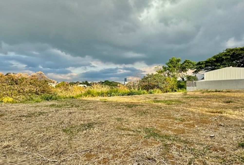 Crown Road project detail view